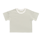 Pima Cotton Wesley Tee - Narrow Stripe Lichen / Cloud Childrens Top from Jamie Kay USA