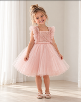 Blush Pink Tutu Dress
