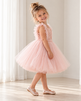 Blush Pink Tutu Dress