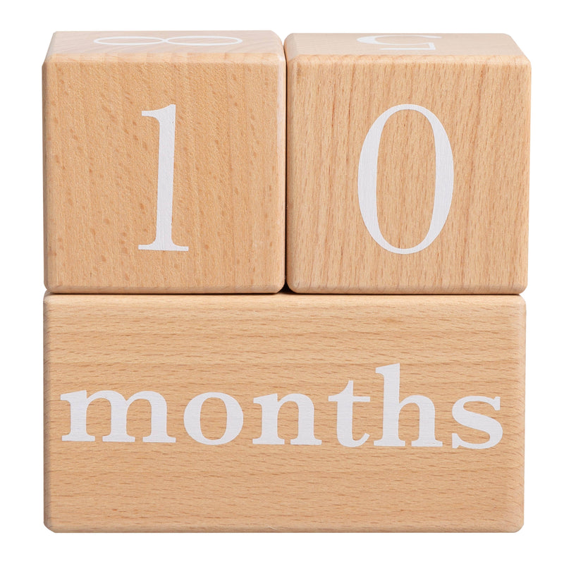 Natural Wooden Milestone Blocks Photo Prop